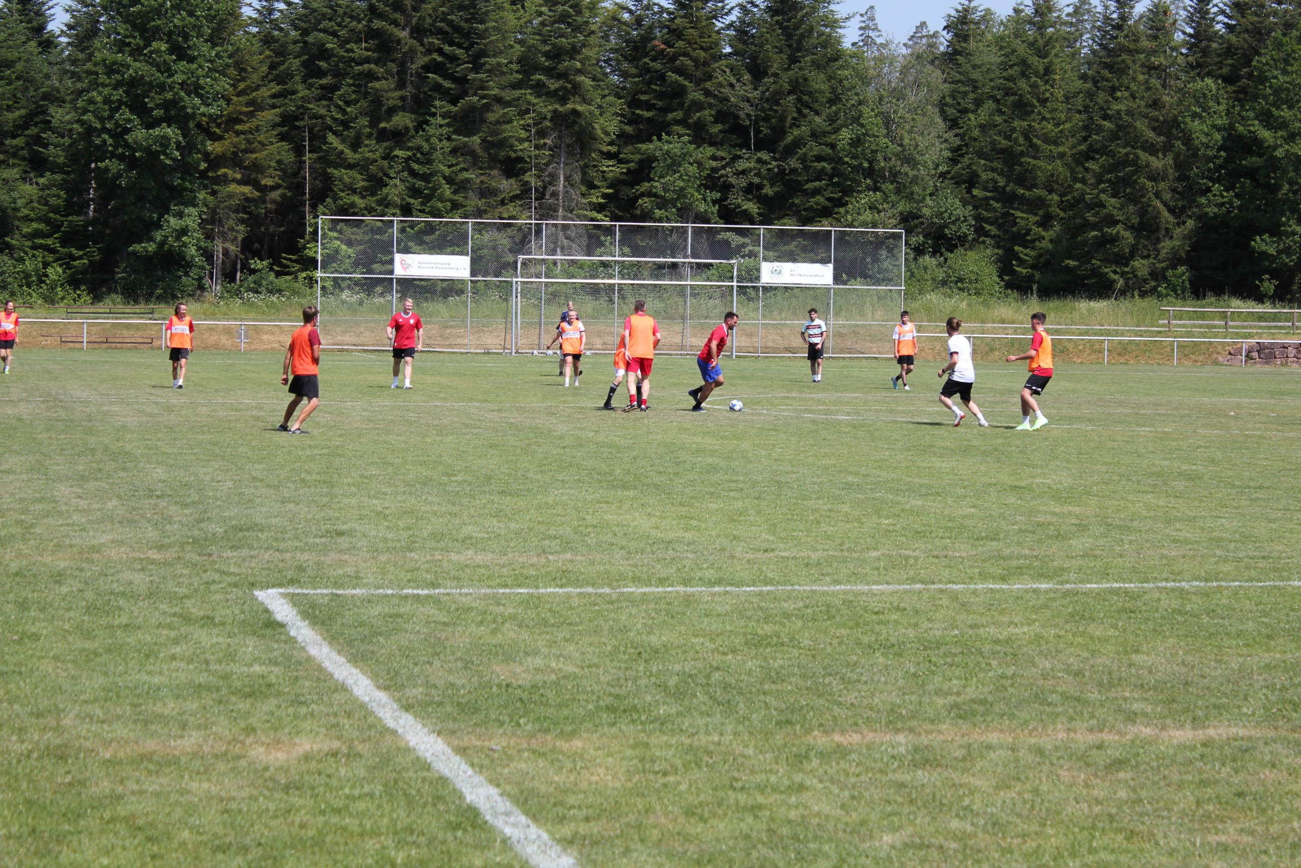 IMG_9672-scaled IMG_9672-scaled