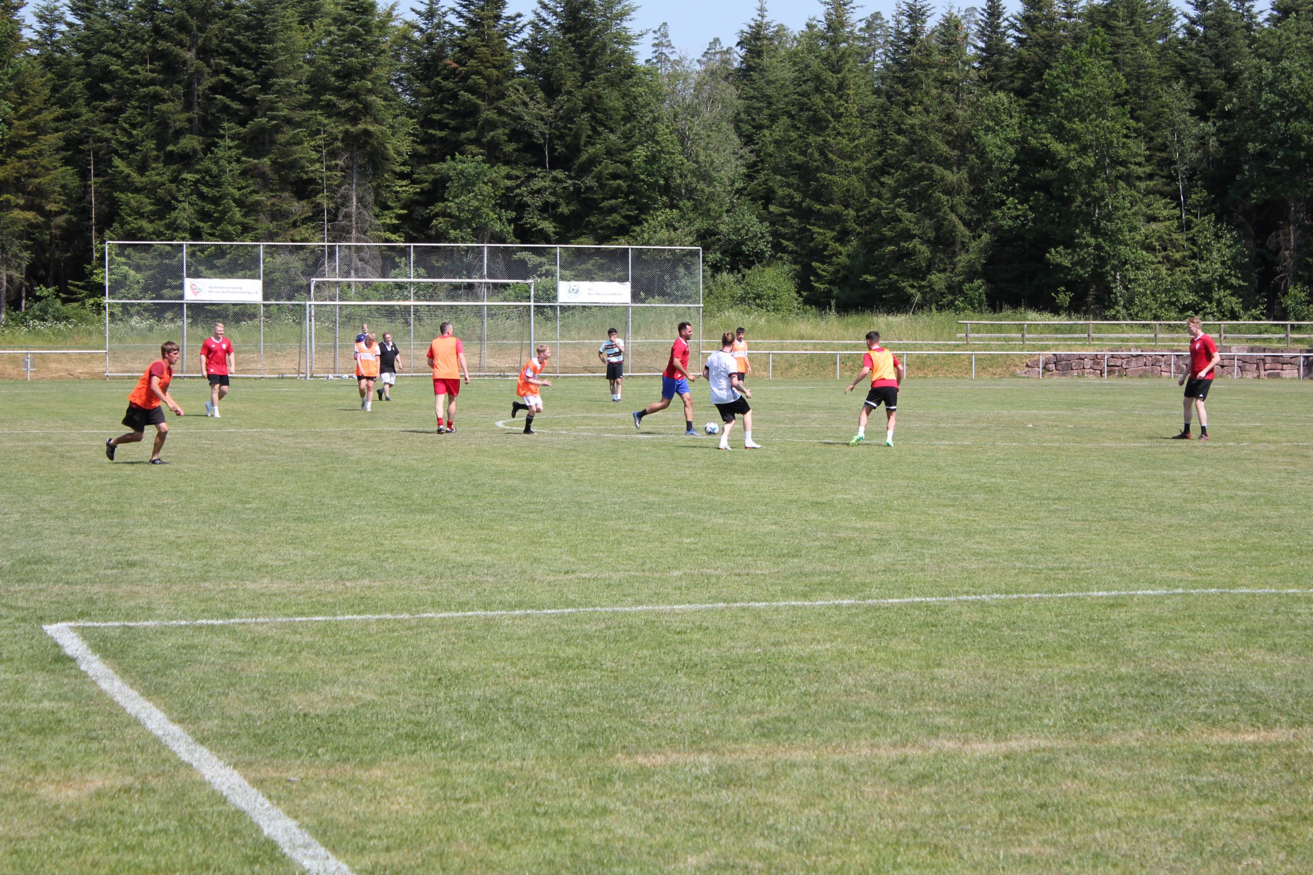 IMG_9673-scaled IMG_9673-scaled