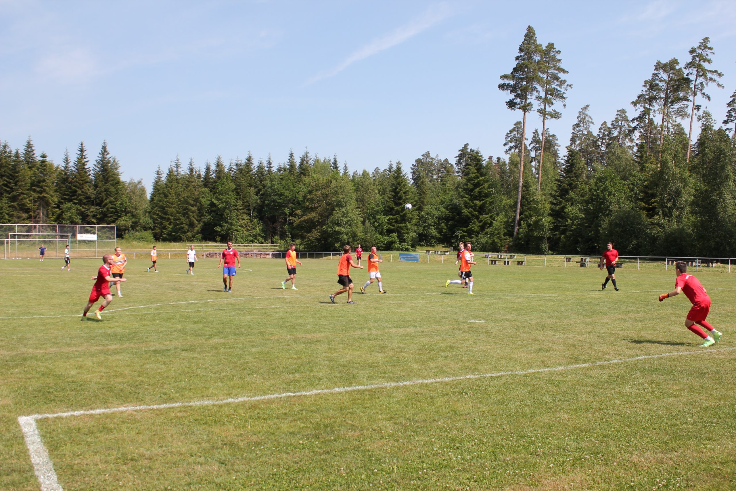 IMG_9698-scaled IMG_9698-scaled